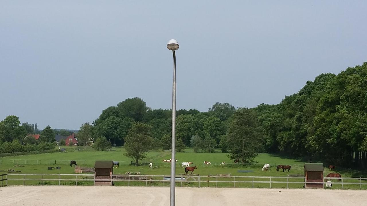 B&B Manege Groenewoude Woudenberg Exterior foto